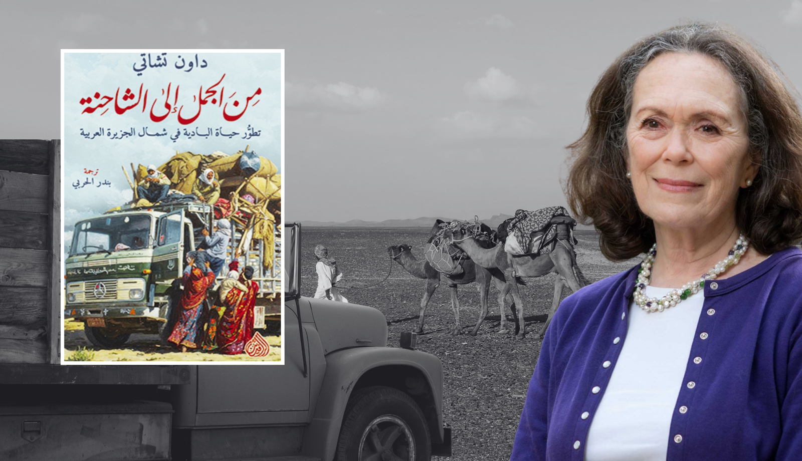 قراءة في كتاب (من الجمل إلى الشاحنة) 17 كاريكاتير